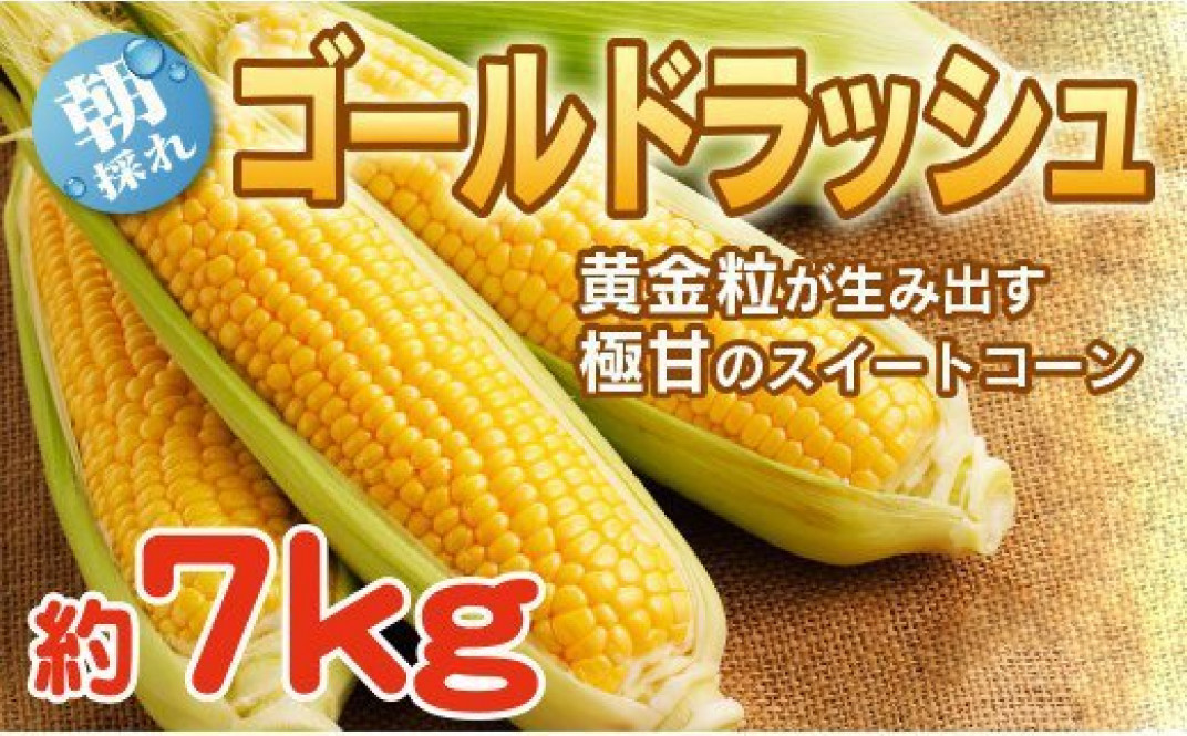 お礼の品共通バナー
