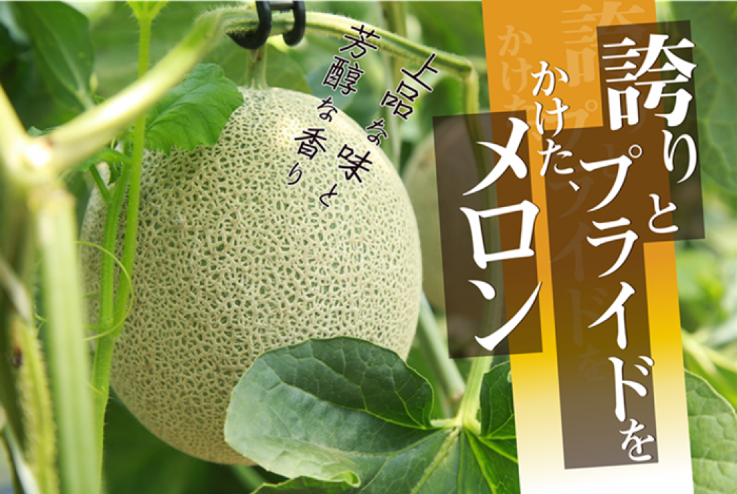お礼の品共通バナー