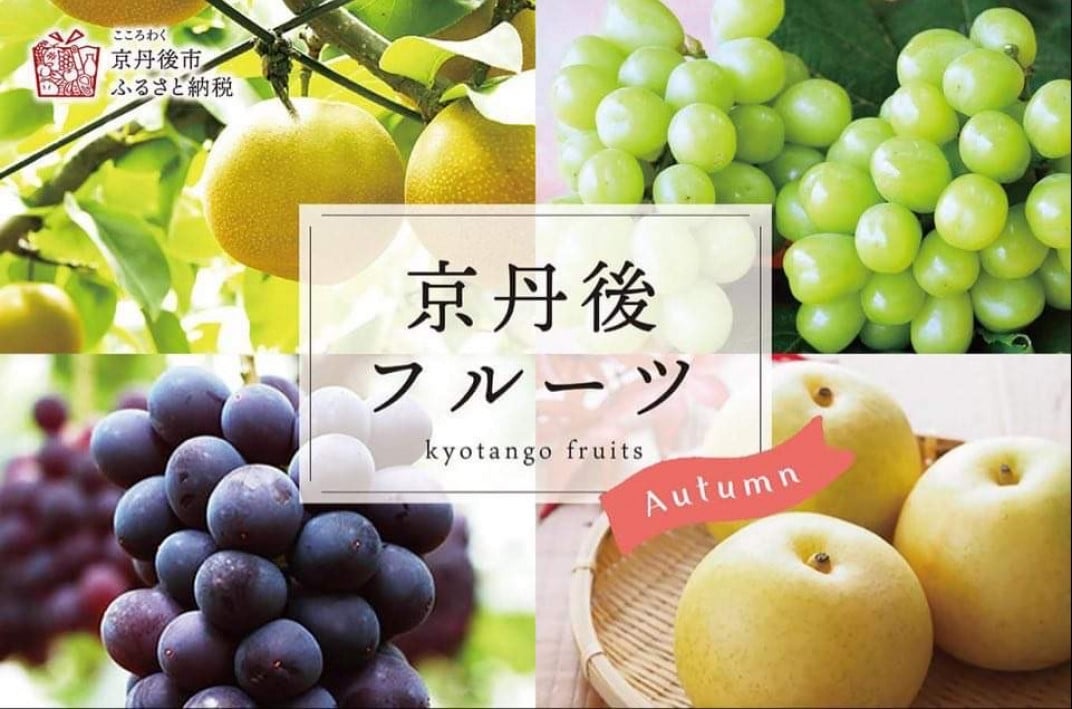 お礼の品共通バナー