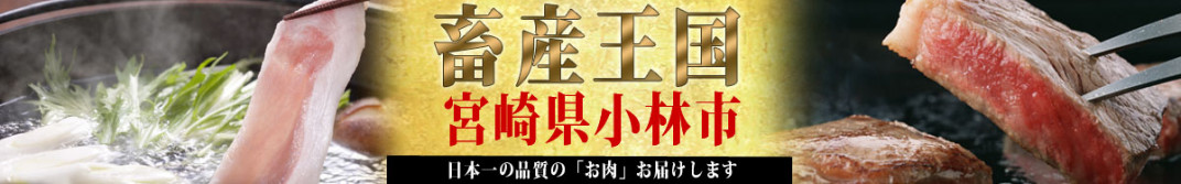 お礼の品共通バナー