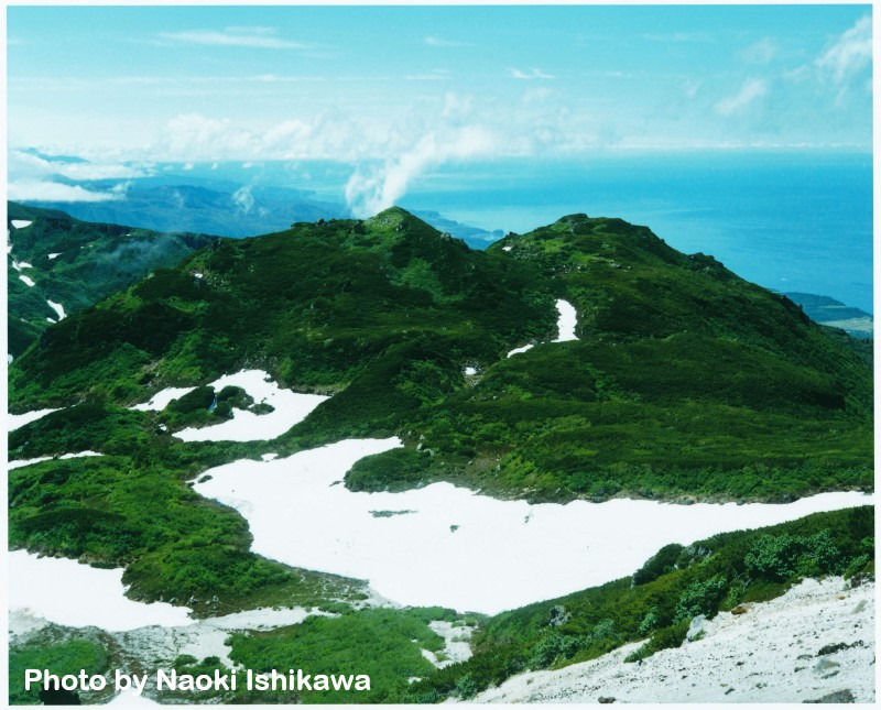 北海道斜里町のふるさと納税 お礼の品ランキング【ふるさと