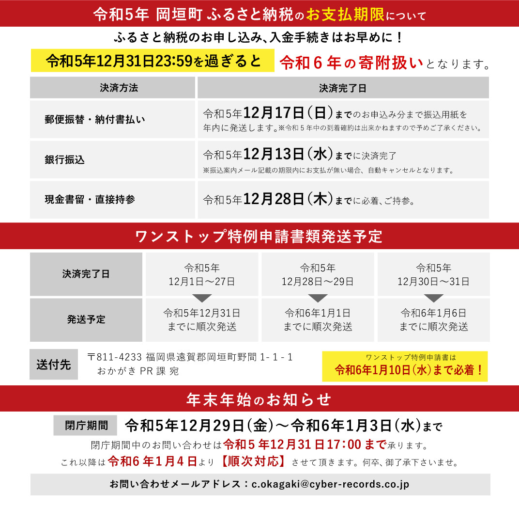 豚角煮入り 焼き おにぎり (10個入り) 冷凍 - 福岡県岡垣町｜ふるさと