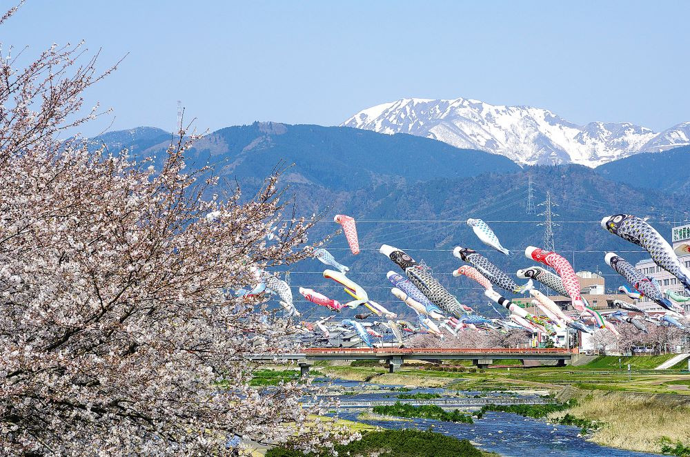 岐阜県垂井町のふるさと納税 お礼の品ランキング【ふるさとチョイス】