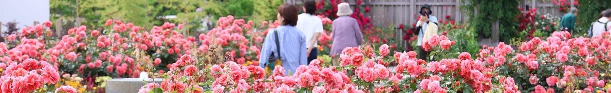 神奈川県綾瀬市