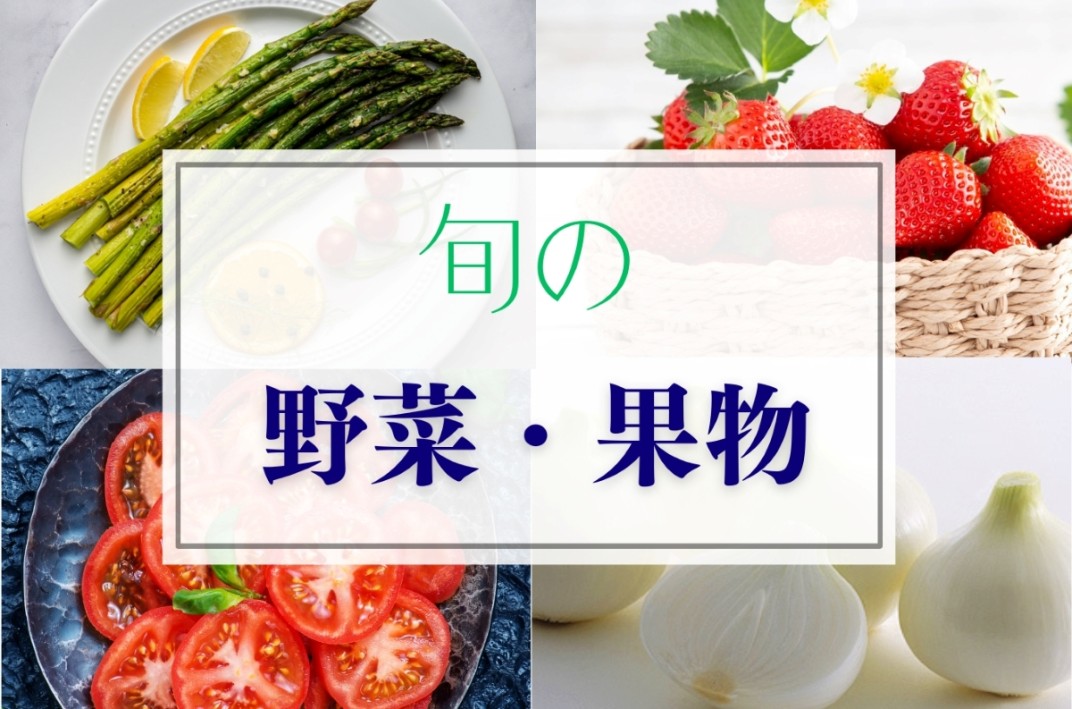 お礼の品共通バナー