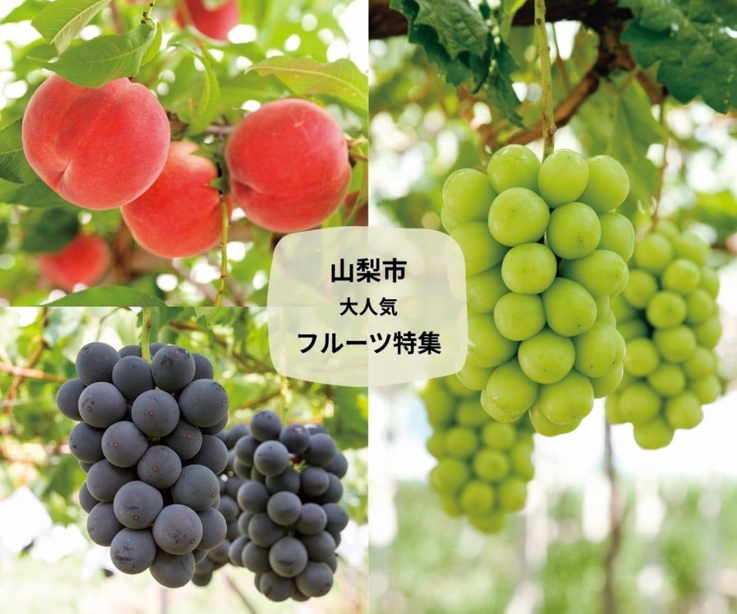 お礼の品共通バナー