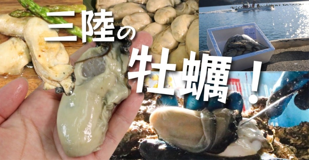 お礼の品共通バナー