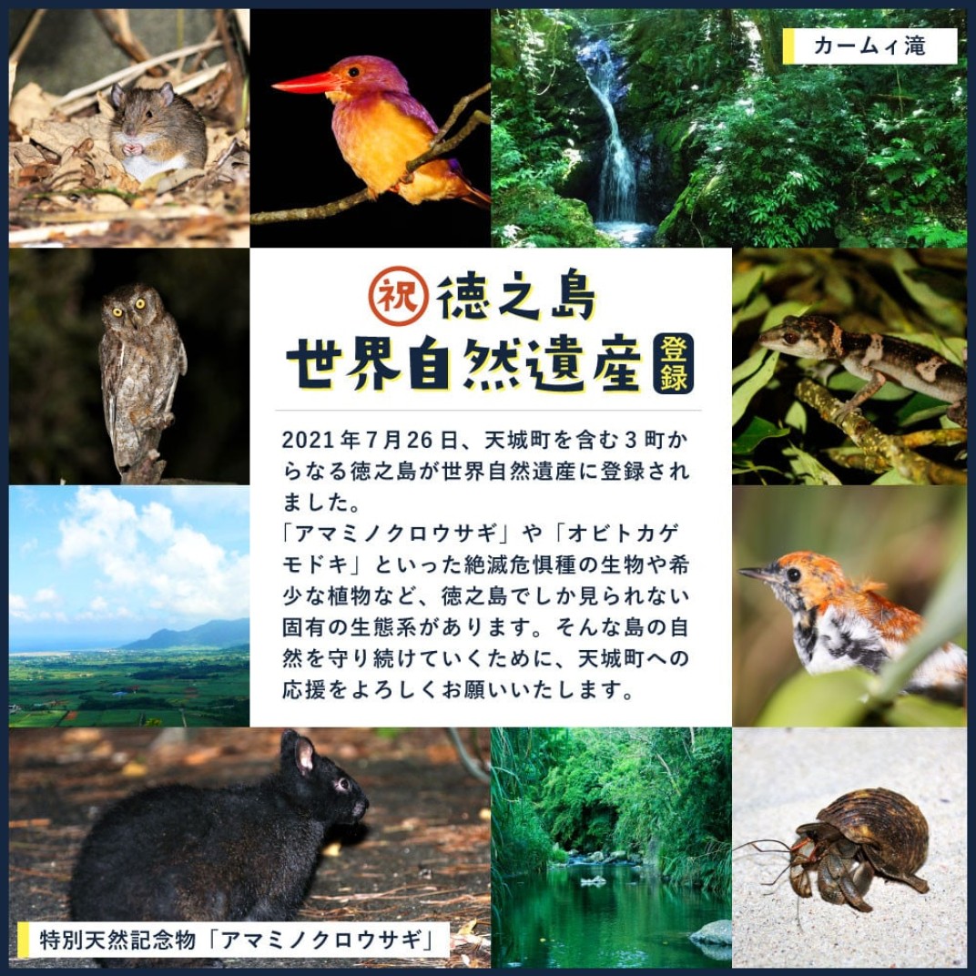 お礼の品共通バナー