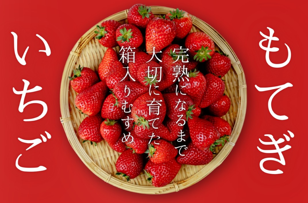 お礼の品共通バナー