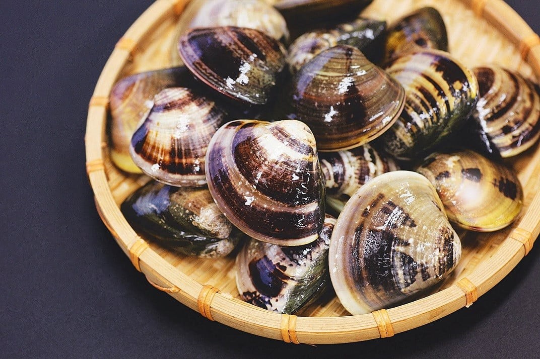 お礼の品共通バナー