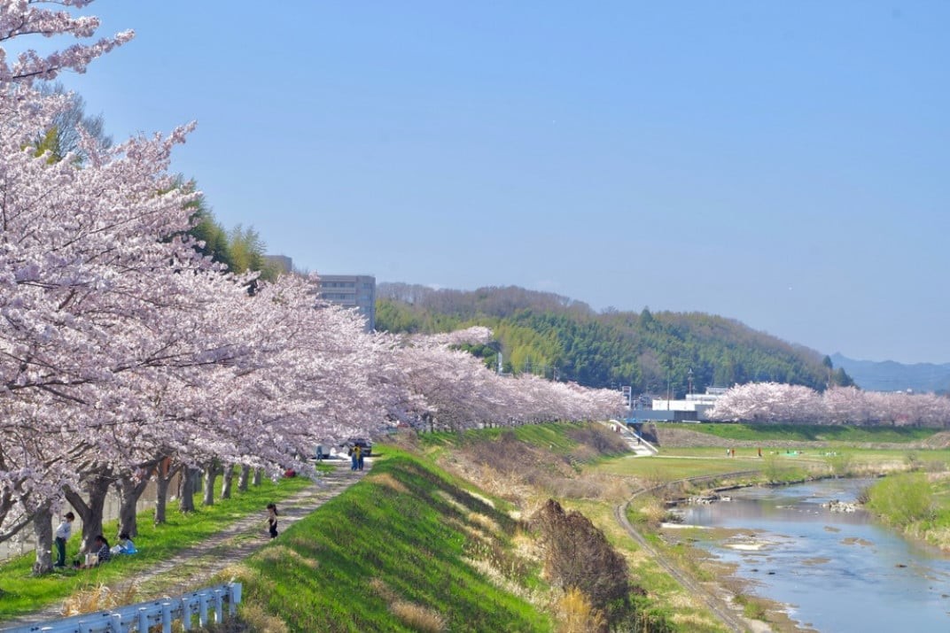 お礼の品共通バナー