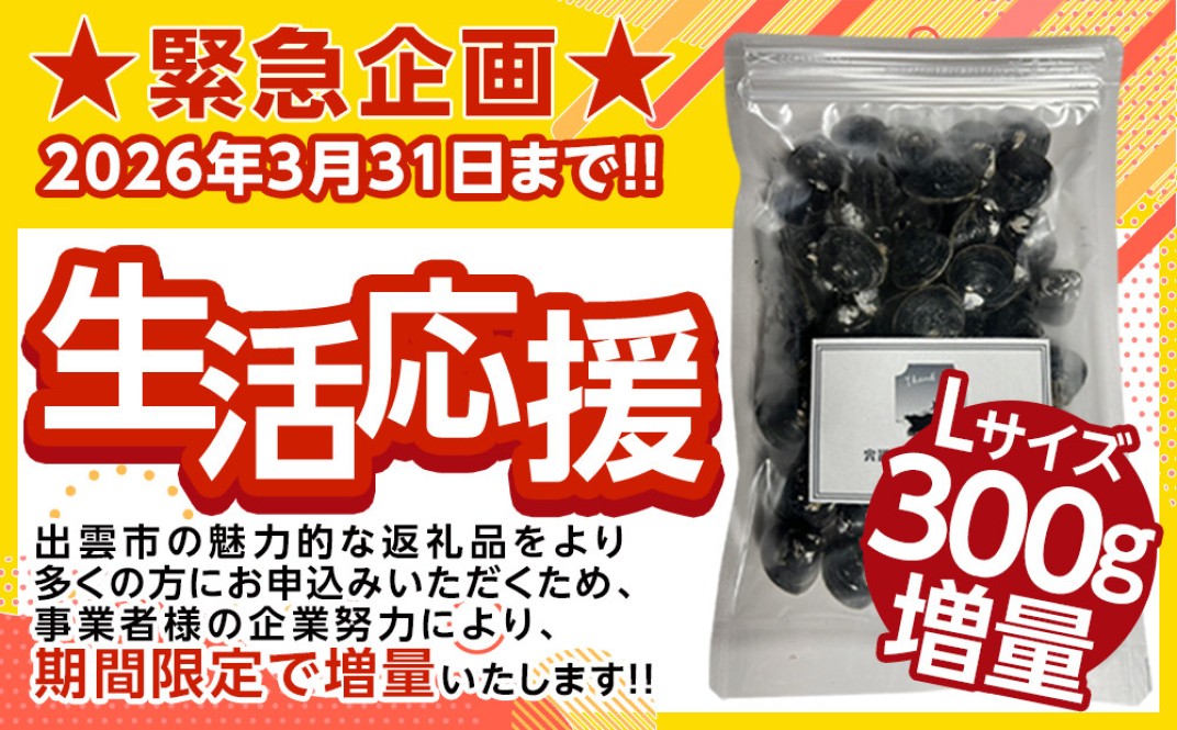 お礼の品共通バナー