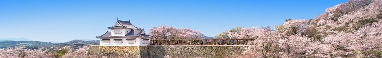 岡山県　つやまし