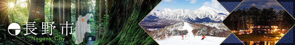 長野県　ながのし