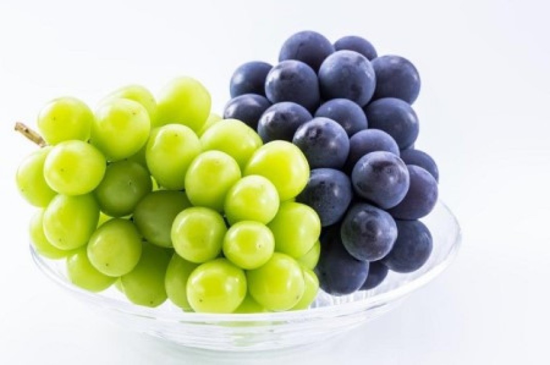 お礼の品共通バナー