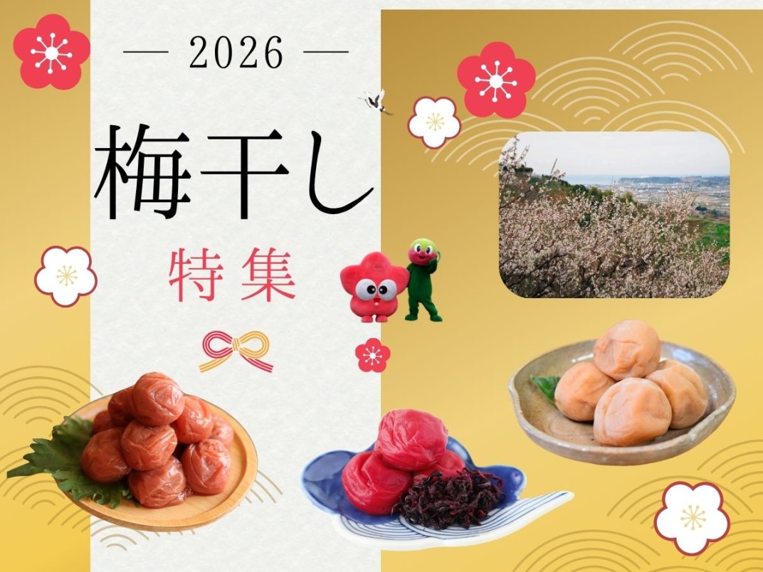 お礼の品共通バナー