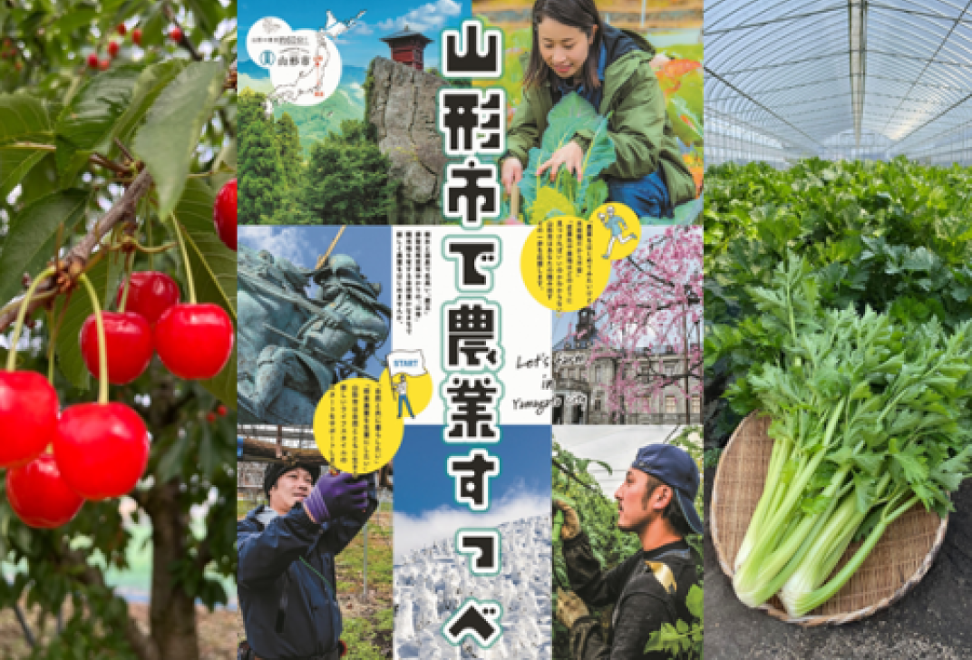 お礼の品共通バナー