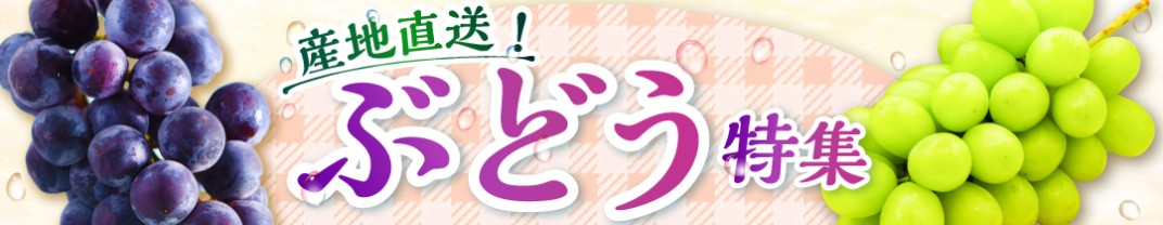 お礼の品共通バナー