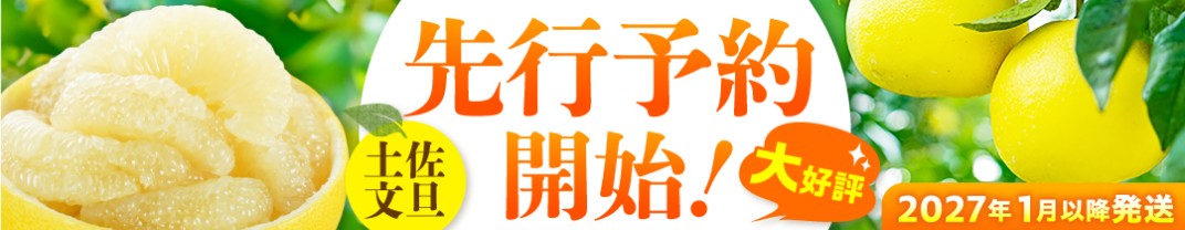 お礼の品共通バナー