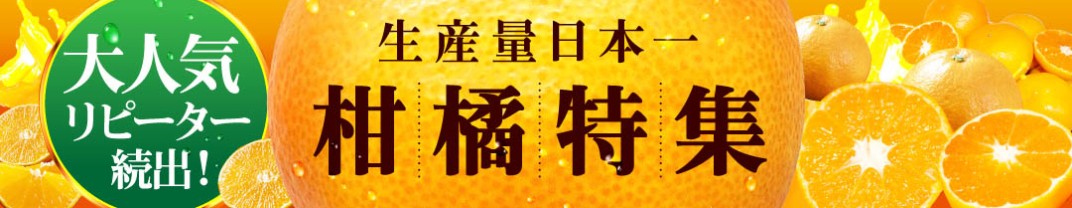 お礼の品共通バナー