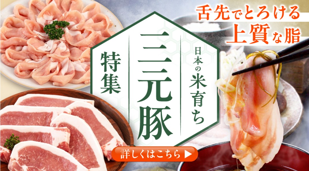 お礼の品共通バナー