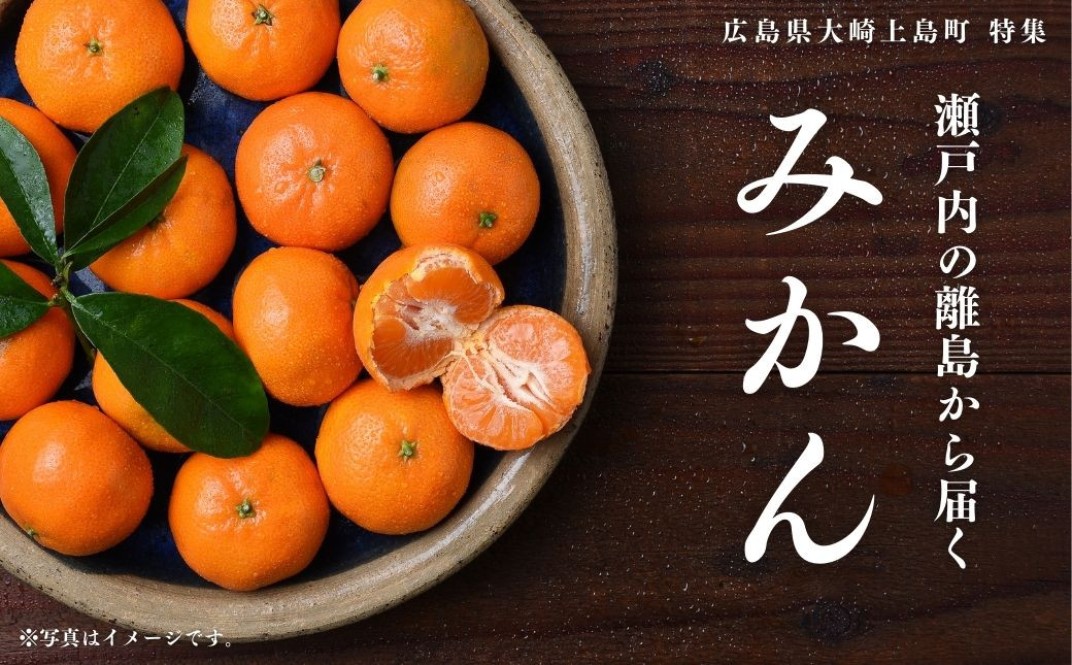 お礼の品共通バナー