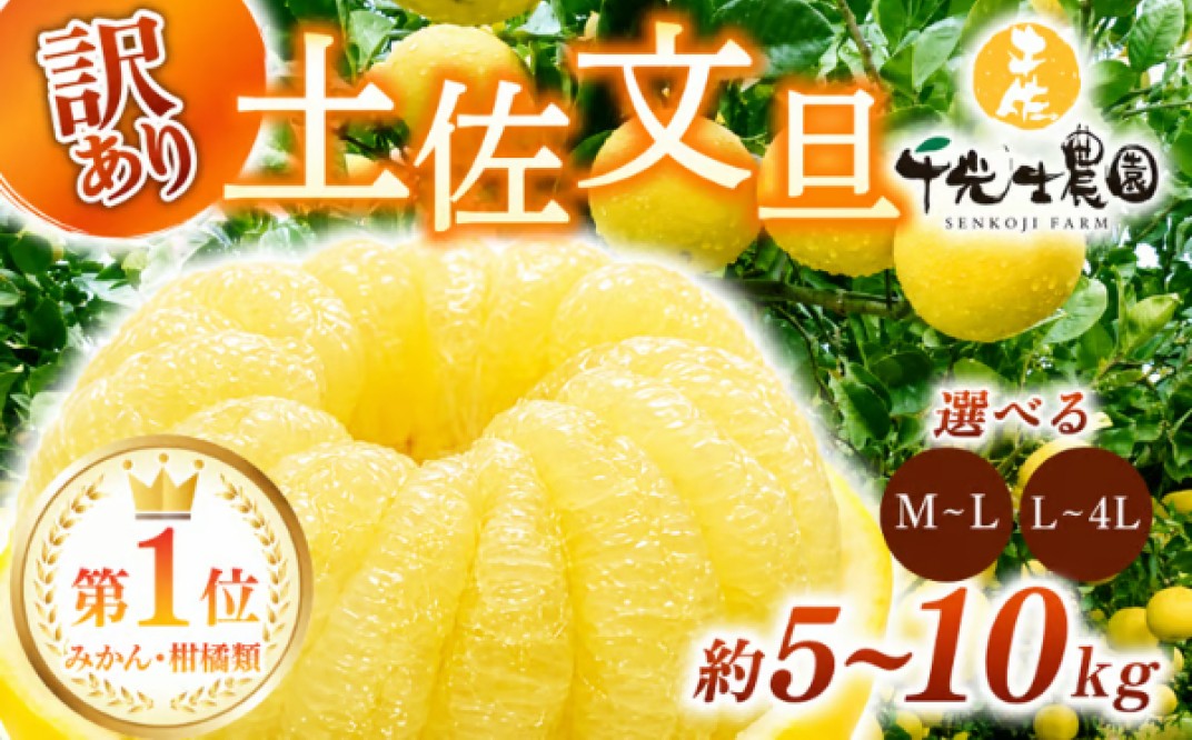 お礼の品共通バナー