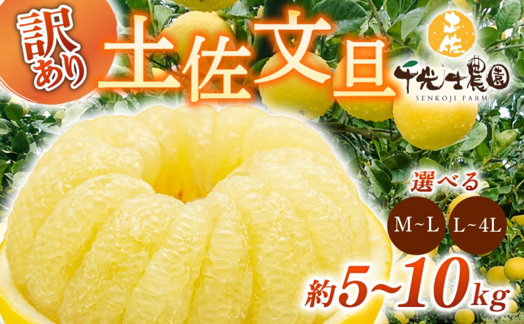 お礼の品共通バナー