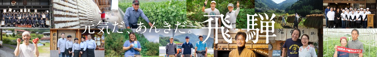 岐阜県　ひだし