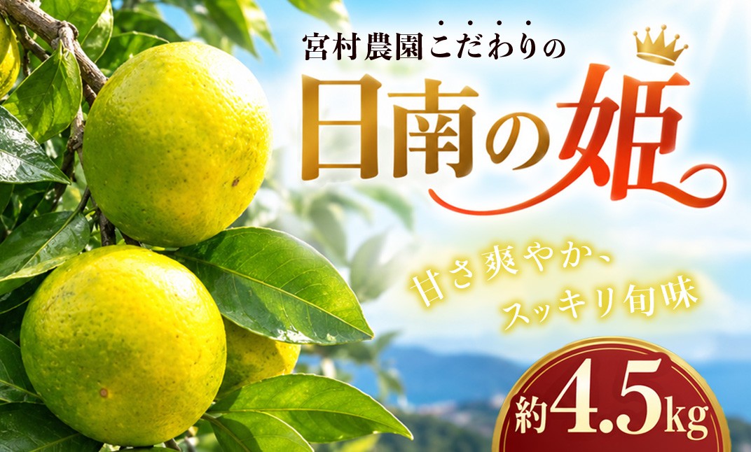 お礼の品共通バナー