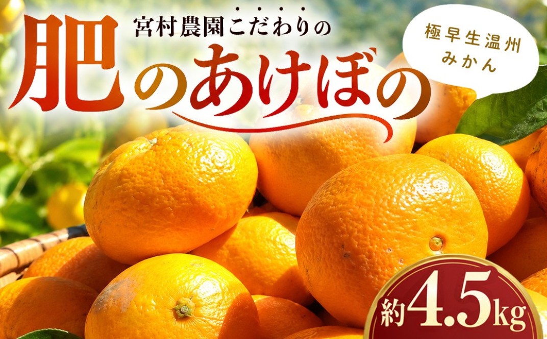 お礼の品共通バナー