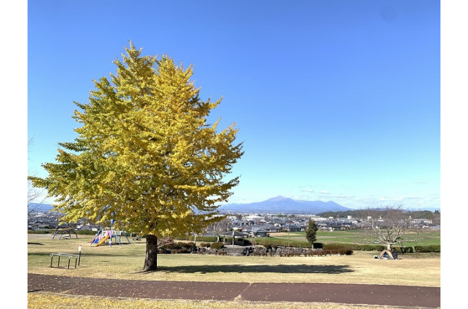 上米（かみよね）公園からは都城盆地を一望できます。