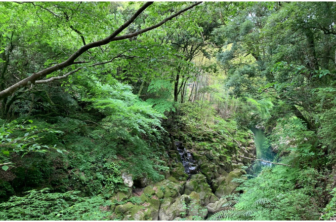 長田峡（ながたきょう）公園の遊歩道から眺める峡谷　沖水川の清流がエメラルドグリーンに見えました。