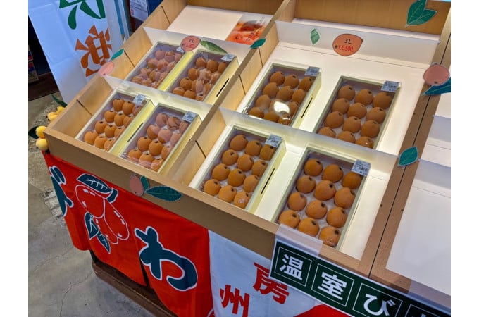 道の駅とみうら枇杷倶楽部に並ぶハウスびわ