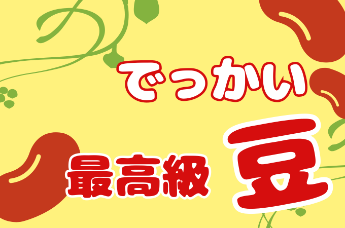 【長野県長和町】超特大サイズの高級煮豆⁉
