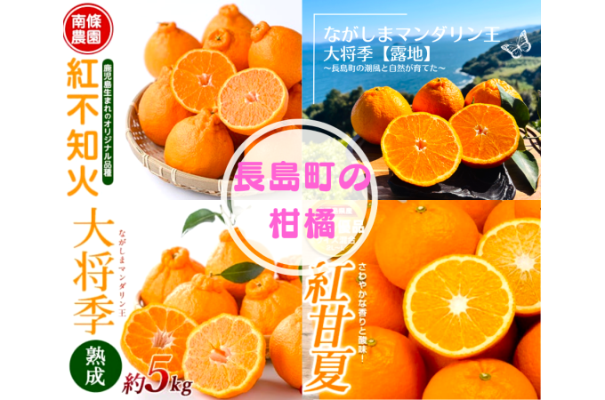 長島町の蜜柑の画像