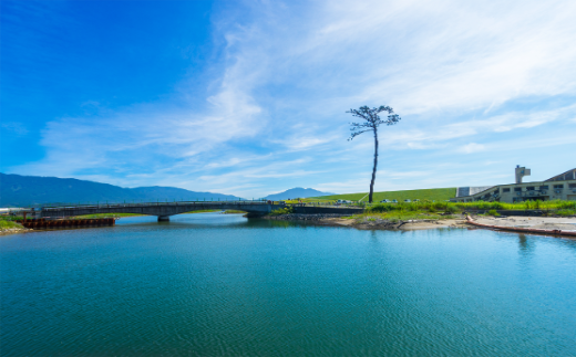 岩手県陸前高田市
