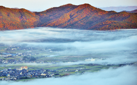 京都府亀岡市