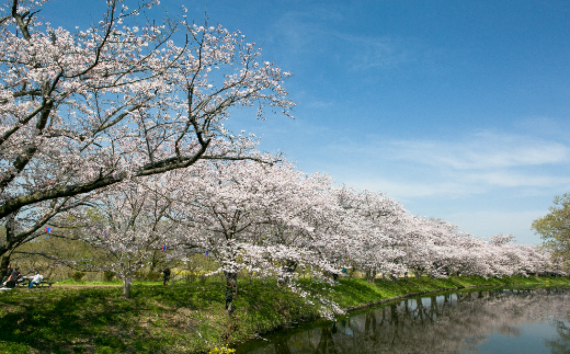 茨城県つくばみらい市