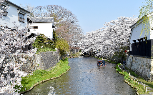 滋賀県近江八幡市