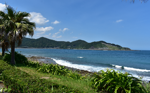 宮崎県日南市