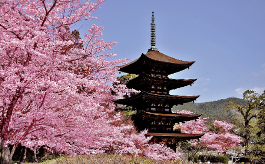 山口県山口市