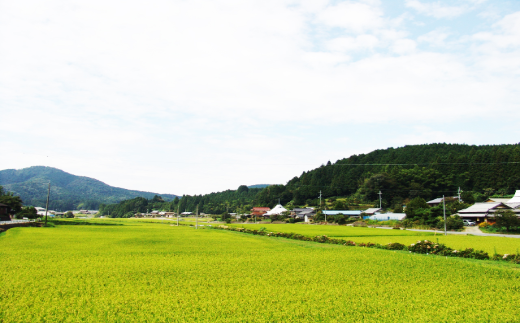 和歌山県かつらぎ町