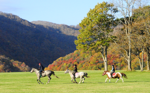 北海道浦河町
