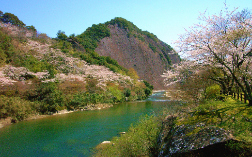 和歌山県古座川町