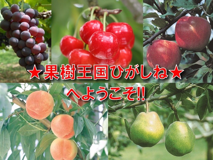 ようこそ東根