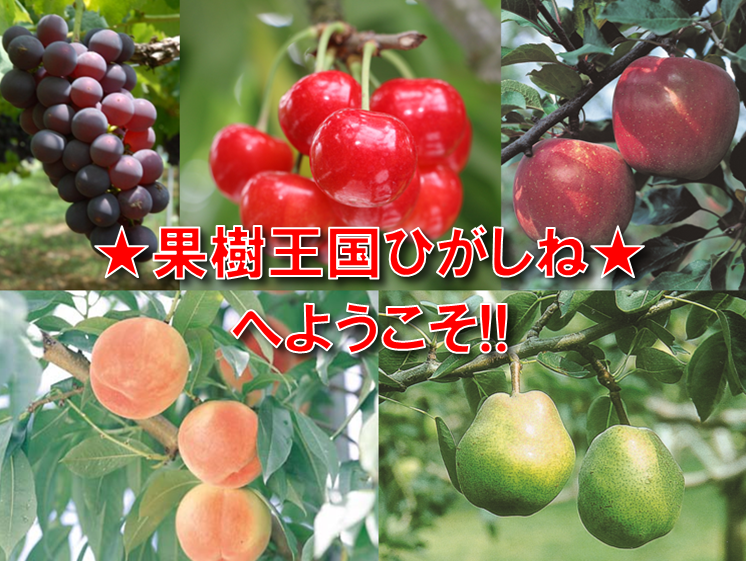 ようこそ!