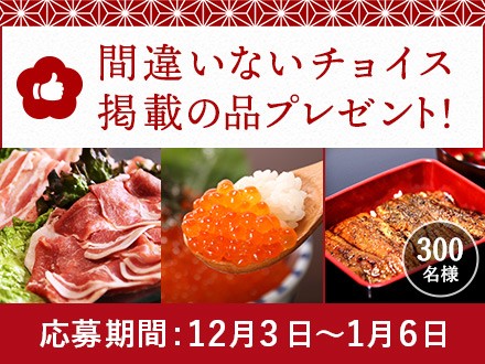 【合計300名様】ふるさとチョイスが選ぶ「間違いないお礼の品」プレゼントキャンペーン