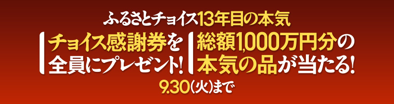 ふるさとチョイス13年目の本気 9月30日火曜日まで