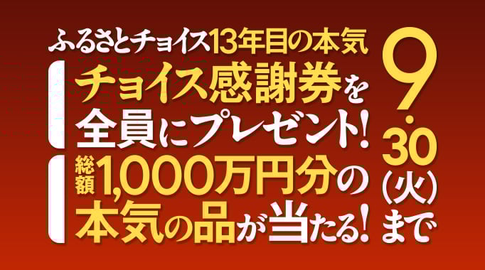 ふるさとチョイス13年目の本気